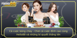 Ca Cuoc Bong Chay Choi Ca Cuoc Inh Cao Cung Hello88 Va Nhung Bi Quyet Thang Lon